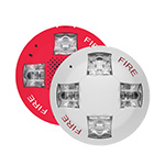 Genesis LED High Candela Series